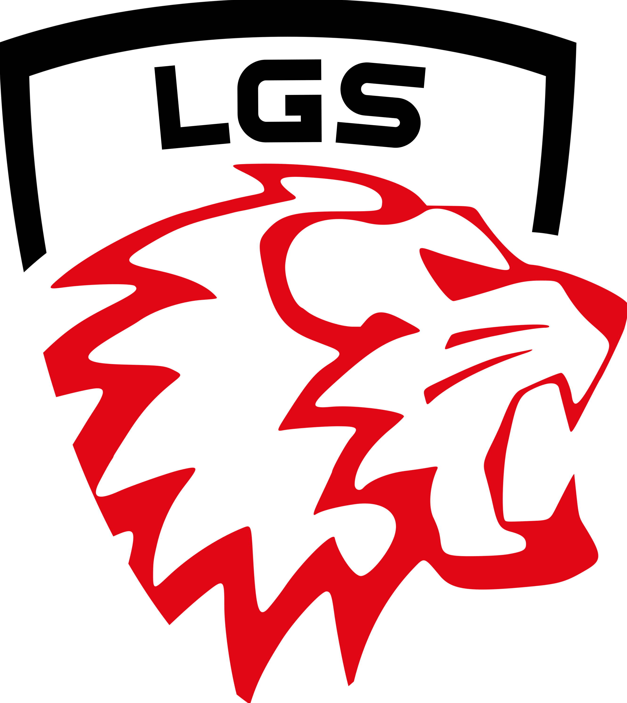 Lion Guard Security Logo